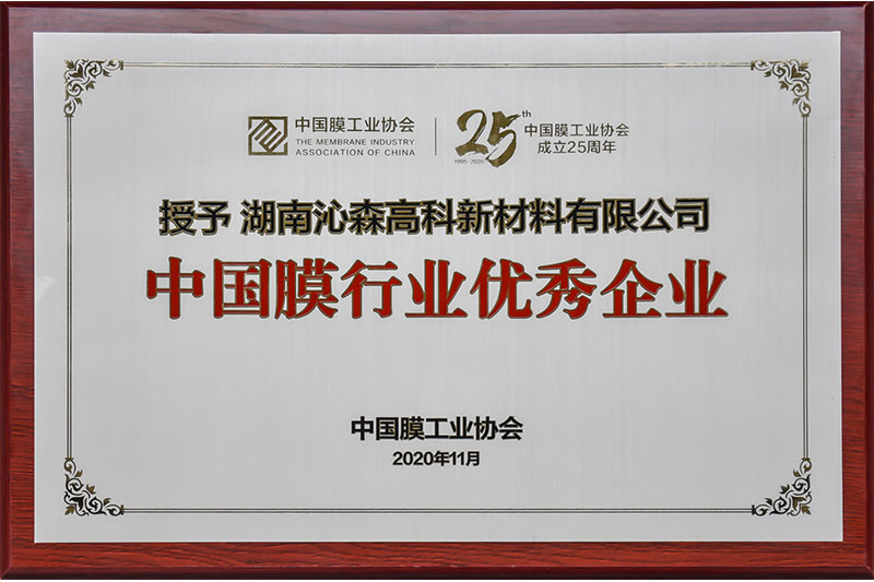 Outstanding Enterprise in China's Film Industry